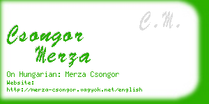 csongor merza business card